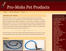 Tablet Screenshot of pro-mohs.com